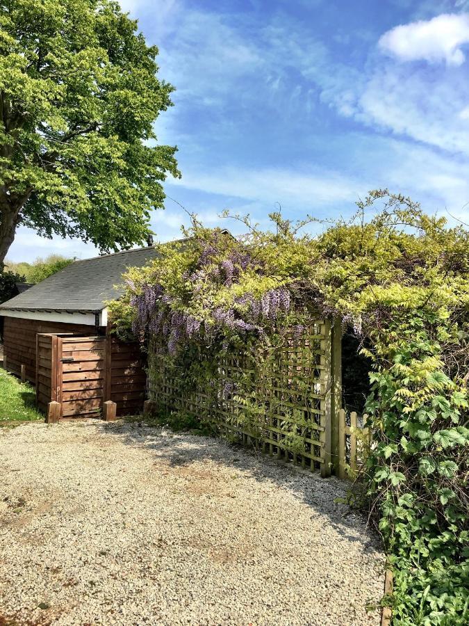 Holmdale Holiday Cottages Rye Extérieur photo